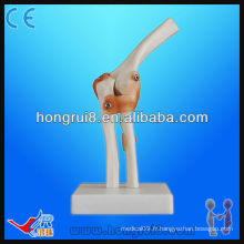 Taille de la vie avec ligament PVC Modèle de joint coudé